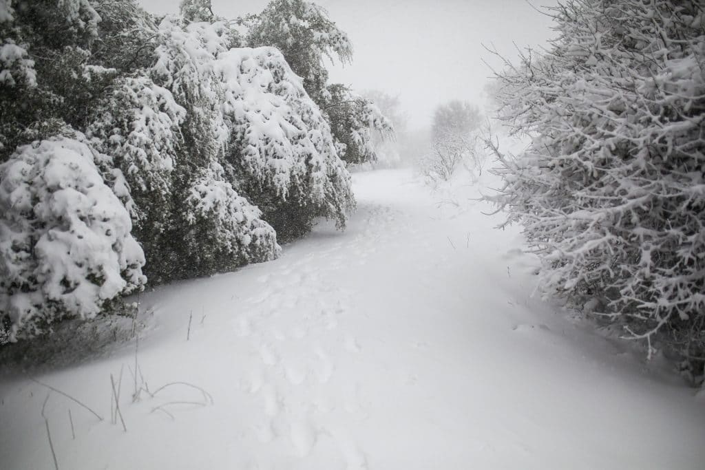 ההיערכות, הסערה, ונזקי הסופה • תמונות מרחבי הארץ