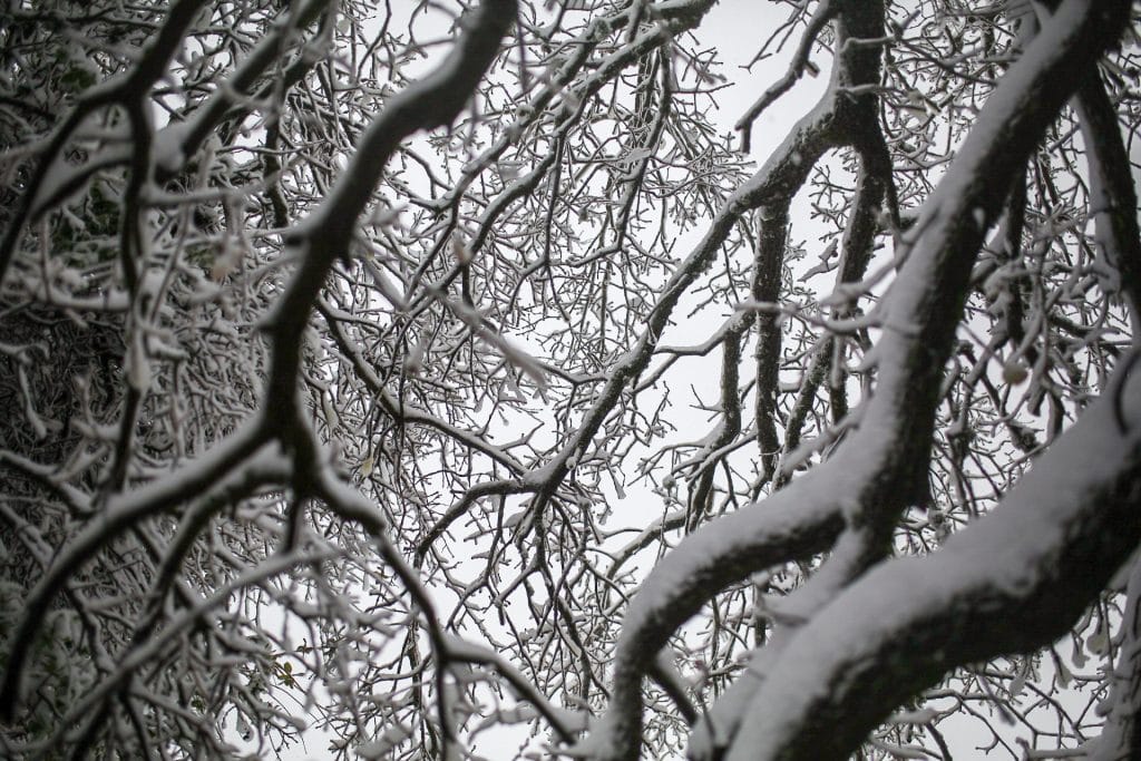 ההיערכות, הסערה, ונזקי הסופה • תמונות מרחבי הארץ