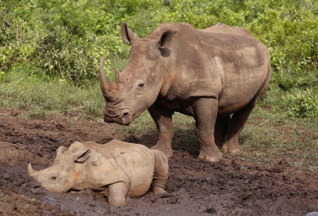 אדם זכה בלוטו פעם שישית ואיך מתמודדים עם עכבישים • בעולם
