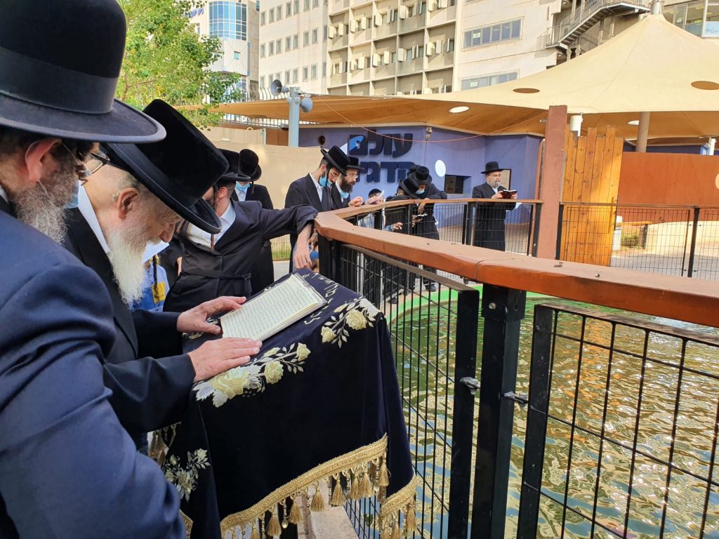 אבל כבד: הגרח"מ וואזנר זצוק"ל