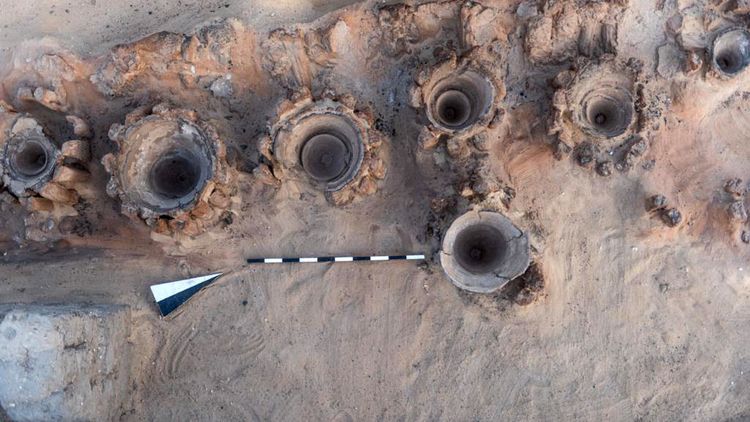 עיר שלמה בחושך בגלל חתול ונגיף חדש בגינאה • בעולם