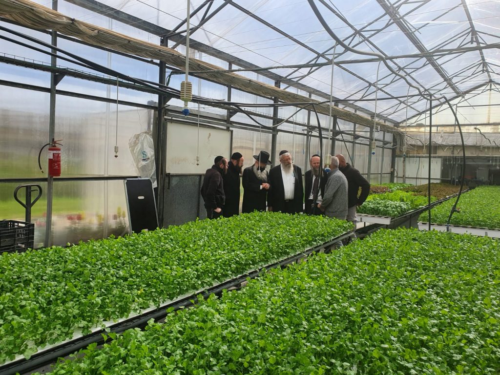 קָרְבָה שְׁנַת הַשֶּׁבַע: הגר"י אפרתי בסיור בחממות