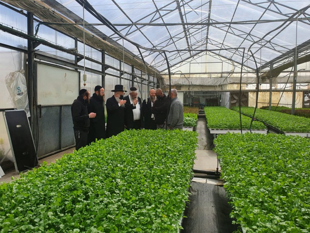 קָרְבָה שְׁנַת הַשֶּׁבַע: הגר"י אפרתי בסיור בחממות