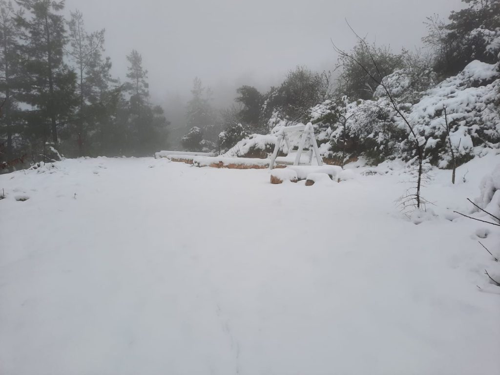 תיעוד מדהים מגוש עציון המושלגת