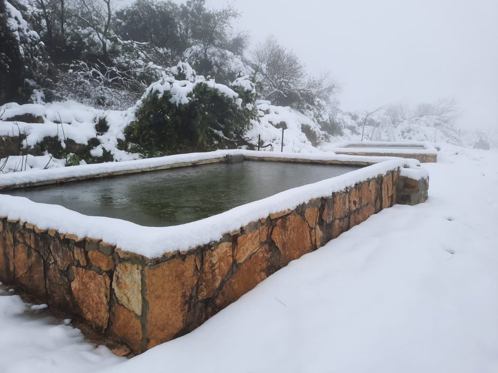 תיעוד מדהים מגוש עציון המושלגת