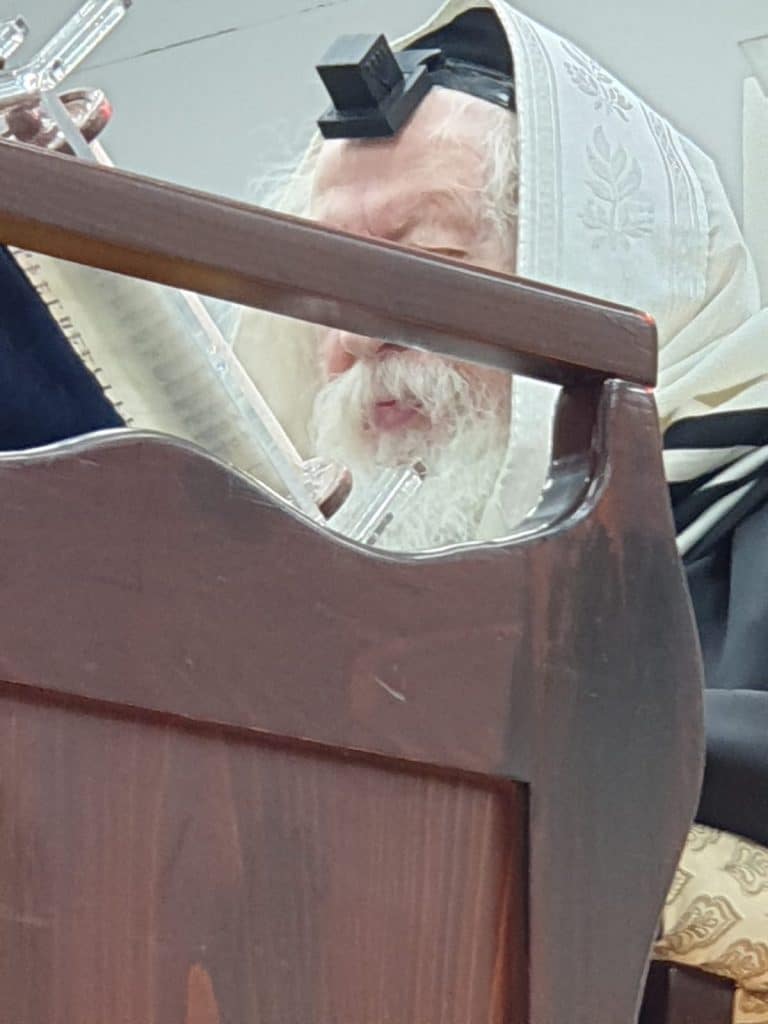 צפו: קריאת המגילה ב'גור'