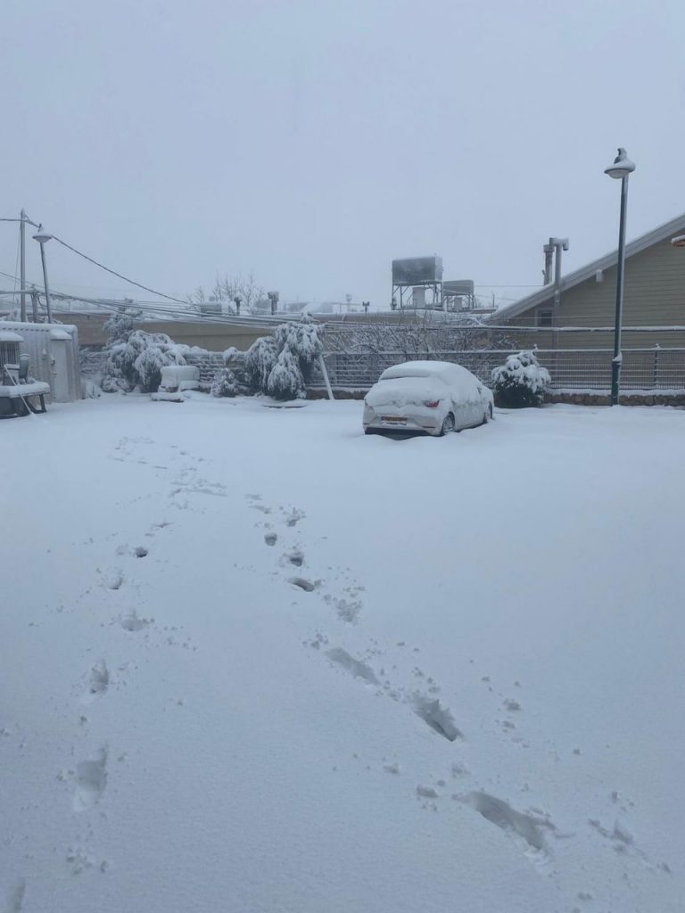 הירושלמים מחכים לשלג: תיעוד מהשלג הכבד ברמת הגולן