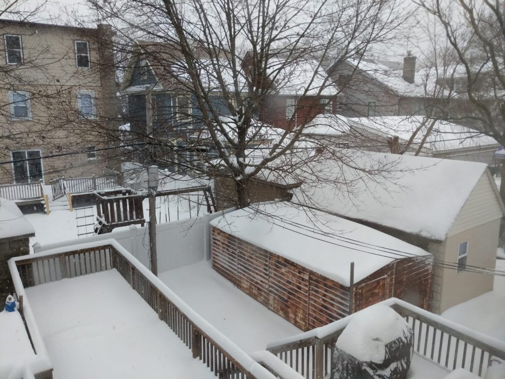 תיעוד: השלג הכבד והסערה בפלטבוש