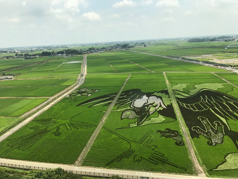תסתכלו טוב טוב בתמונות - לא, זה לא ציור