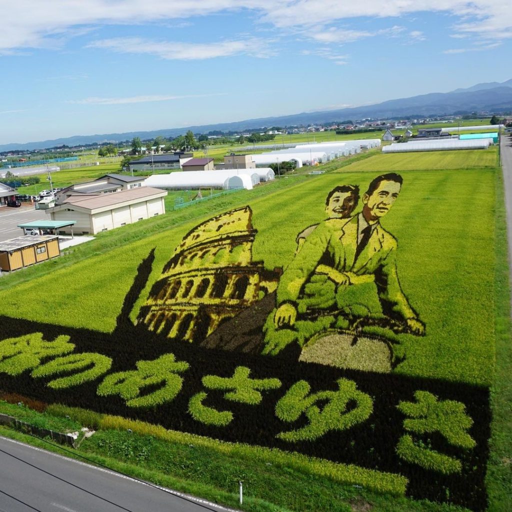 תסתכלו טוב טוב בתמונות - לא, זה לא ציור