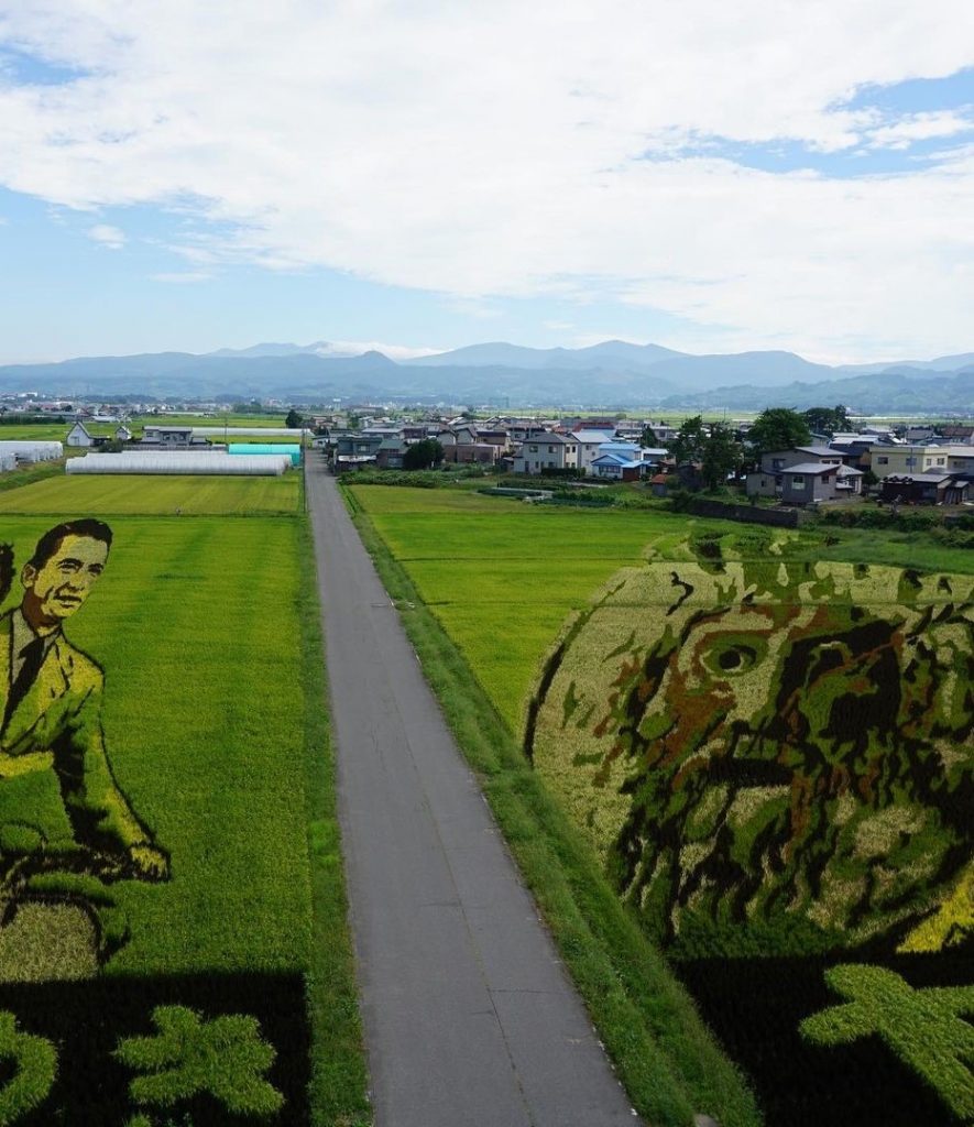 תסתכלו טוב טוב בתמונות - לא, זה לא ציור