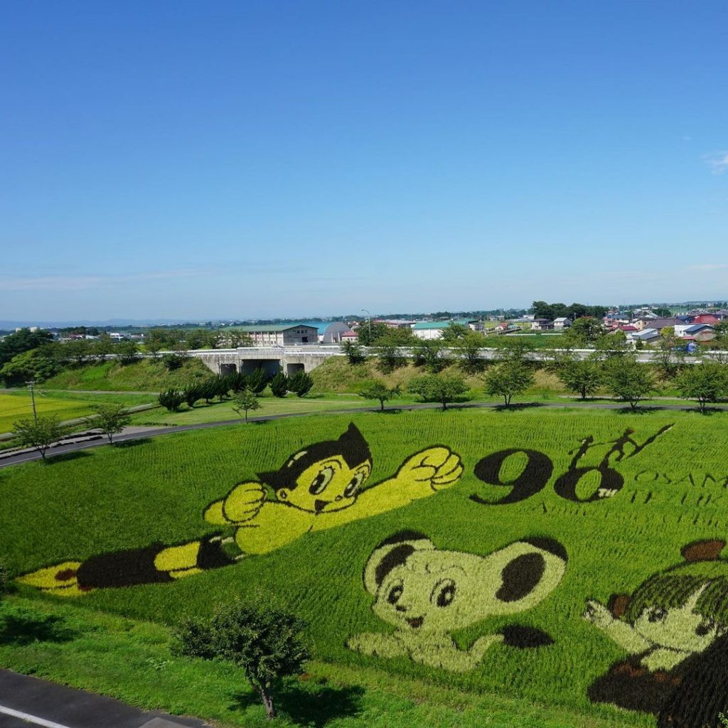 תסתכלו טוב טוב בתמונות - לא, זה לא ציור