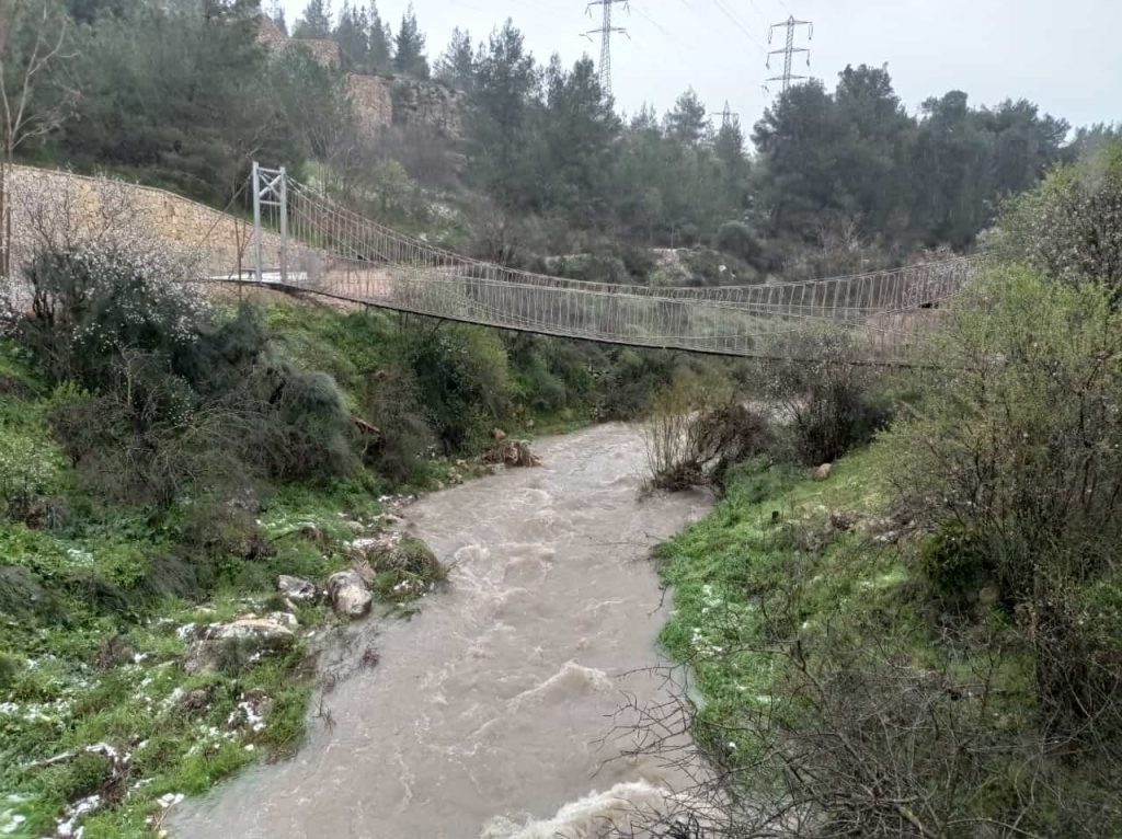 תיעודים מרהיבים מהשלג בירושלים: עמק הצבאים, ונחל שורק