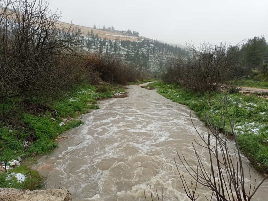 תיעודים מרהיבים מהשלג בירושלים: עמק הצבאים, ונחל שורק