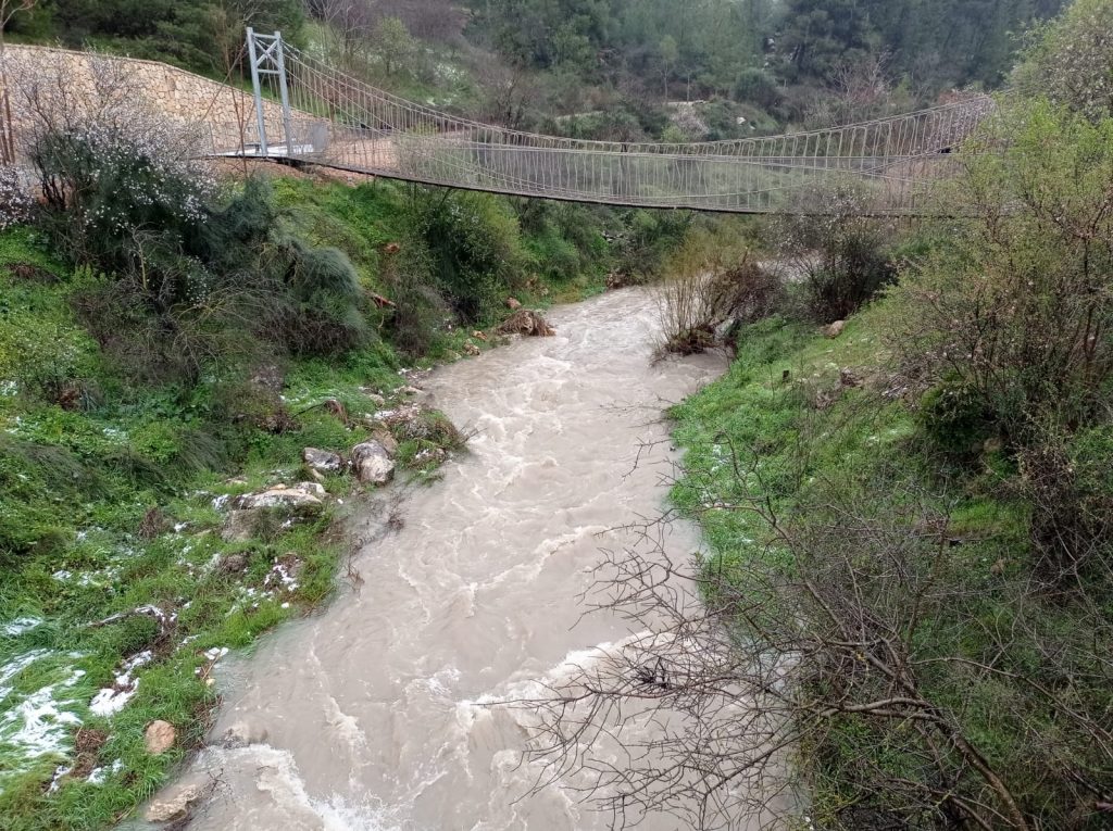 תיעודים מרהיבים מהשלג בירושלים: עמק הצבאים, ונחל שורק