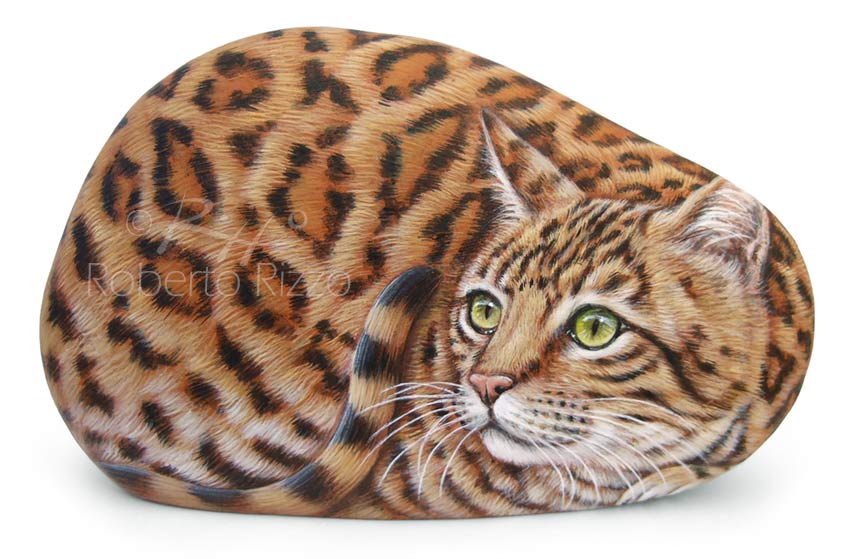 אומנות האבן המצוירת: יצירות מדהימות של האמן האיטלקי