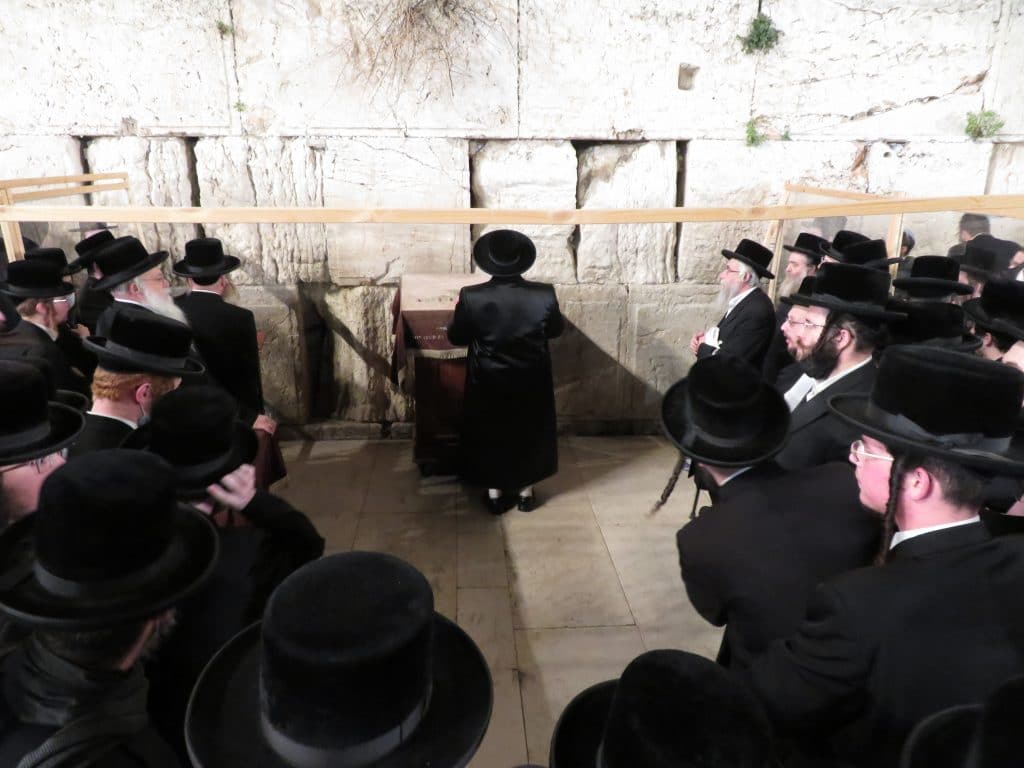 להצלחת המערכה: האדמו"ר מצאנז התפלל בכותל