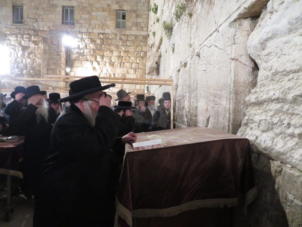 להצלחת המערכה: האדמו"ר מצאנז התפלל בכותל