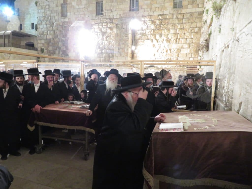 להצלחת המערכה: האדמו"ר מצאנז התפלל בכותל