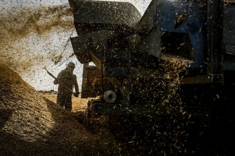 חקלאים: "מרגישים את הברכה בזכות שלא ירד גשם בטבת" 