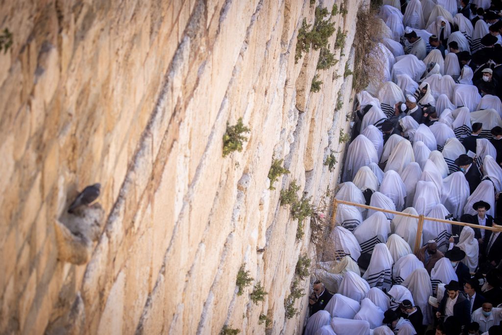 גלריה: מעמד ברכת הכהנים בכותל המערבי