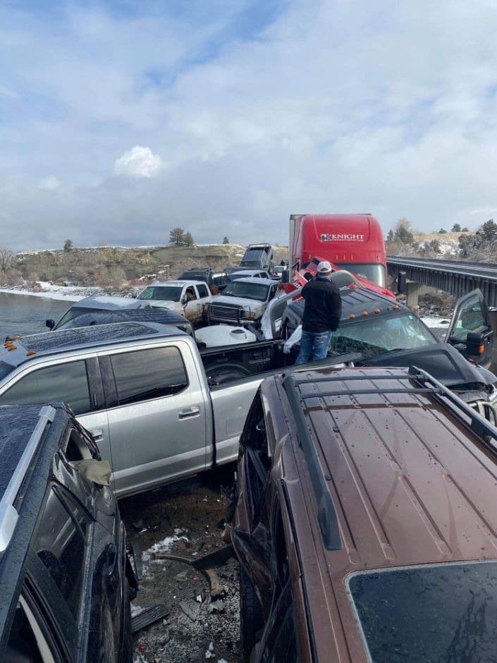 למכירה באיביי ראש של תנין • סיקור מצולם מהעולם