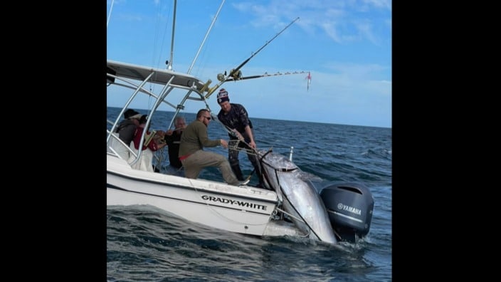 מתיחות בין סין לטאיוואן בגלל אננס • סיקור מצולם מהעולם