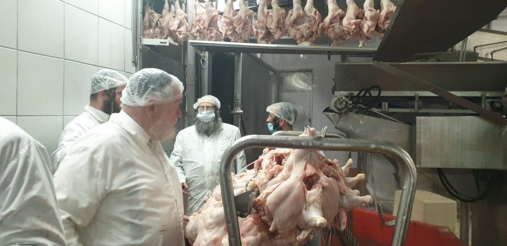 לקראת פסח: רבני קהילת סאטמר בני ברק יצאו לשחוט