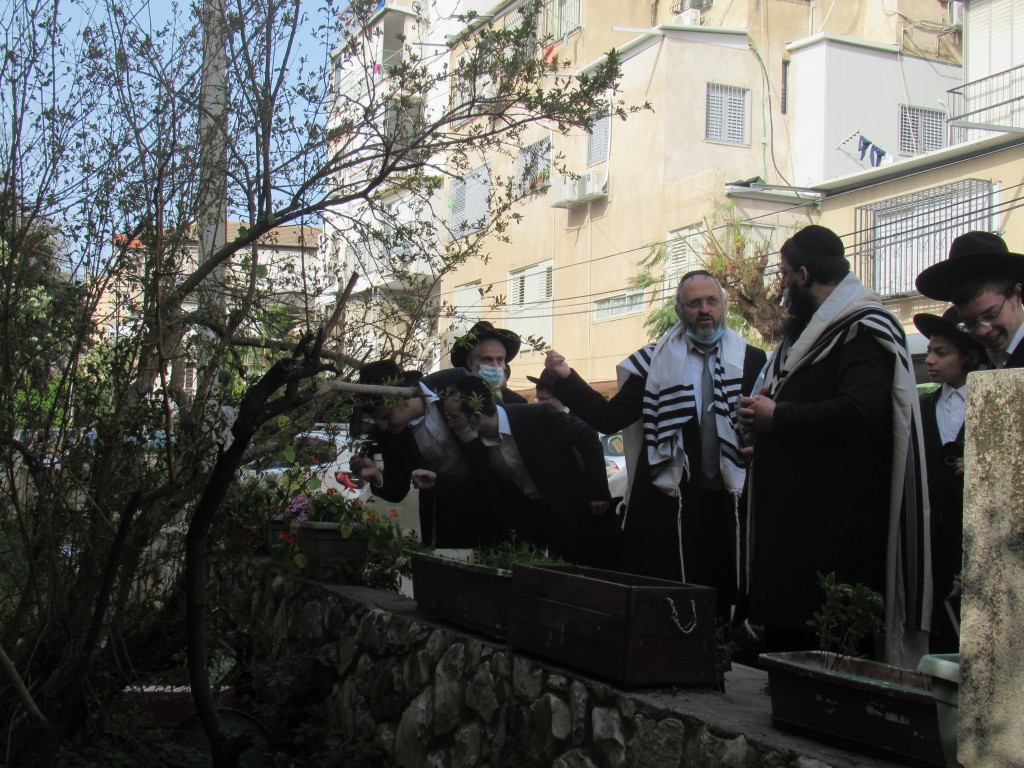 ראש ישיבת 'קרית מלך' ב'ברכת האילונות' • צפו: