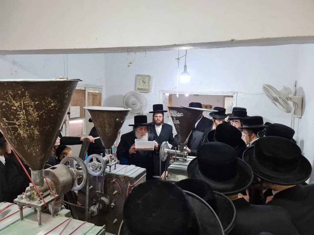 גלריה: האדמו"ר מויז'ניץ בטחינת חיטים