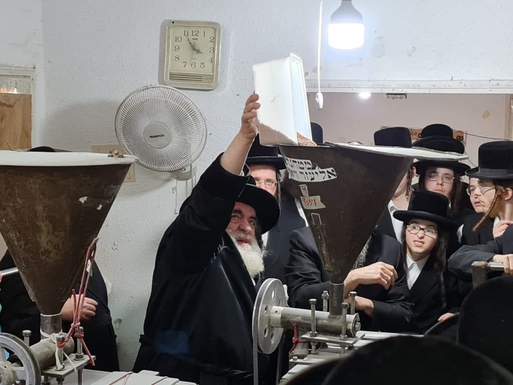 גלריה: האדמו"ר מויז'ניץ בטחינת חיטים