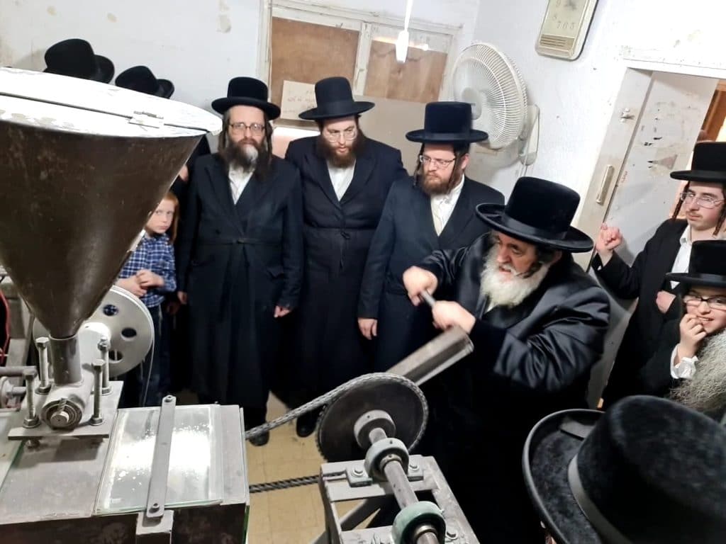 גלריה: האדמו"ר מויז'ניץ בטחינת חיטים