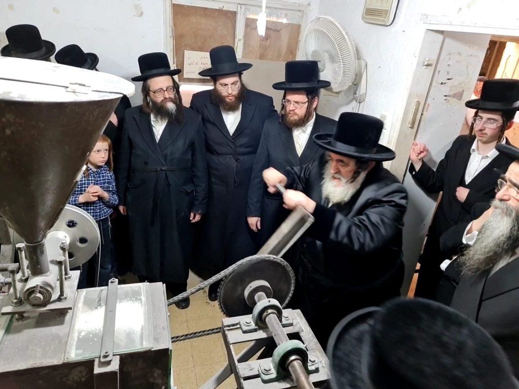גלריה: האדמו"ר מויז'ניץ בטחינת חיטים