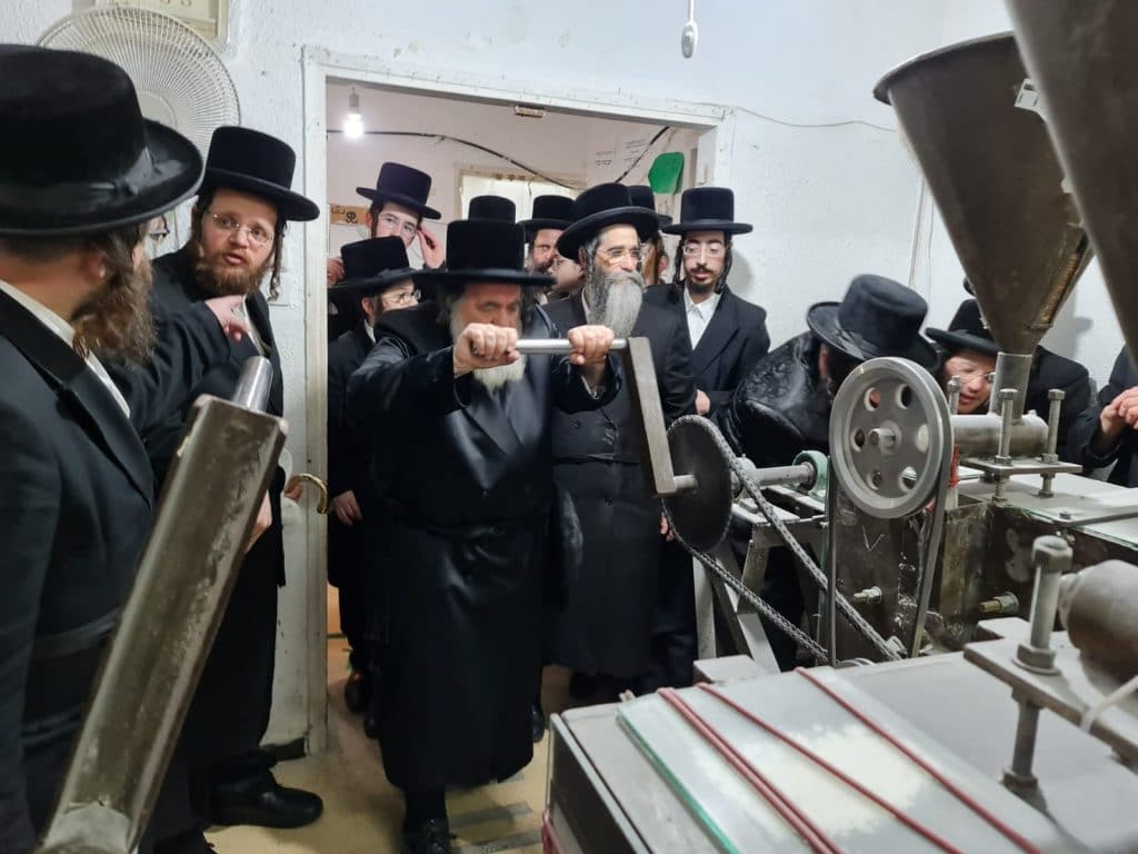 גלריה: האדמו"ר מויז'ניץ בטחינת חיטים