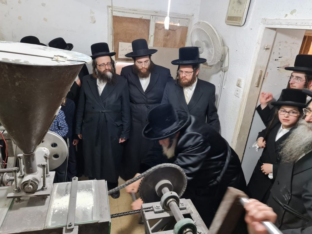 גלריה: האדמו"ר מויז'ניץ בטחינת חיטים