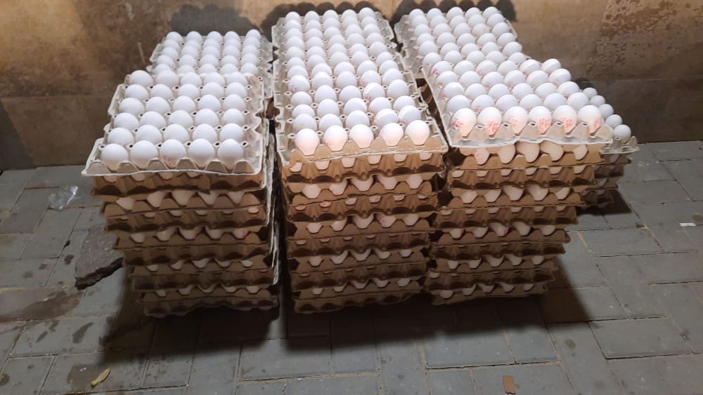 חסד מסביב לעולם: תיעוד הקמחא דפסחא של 'שובה ישראל'