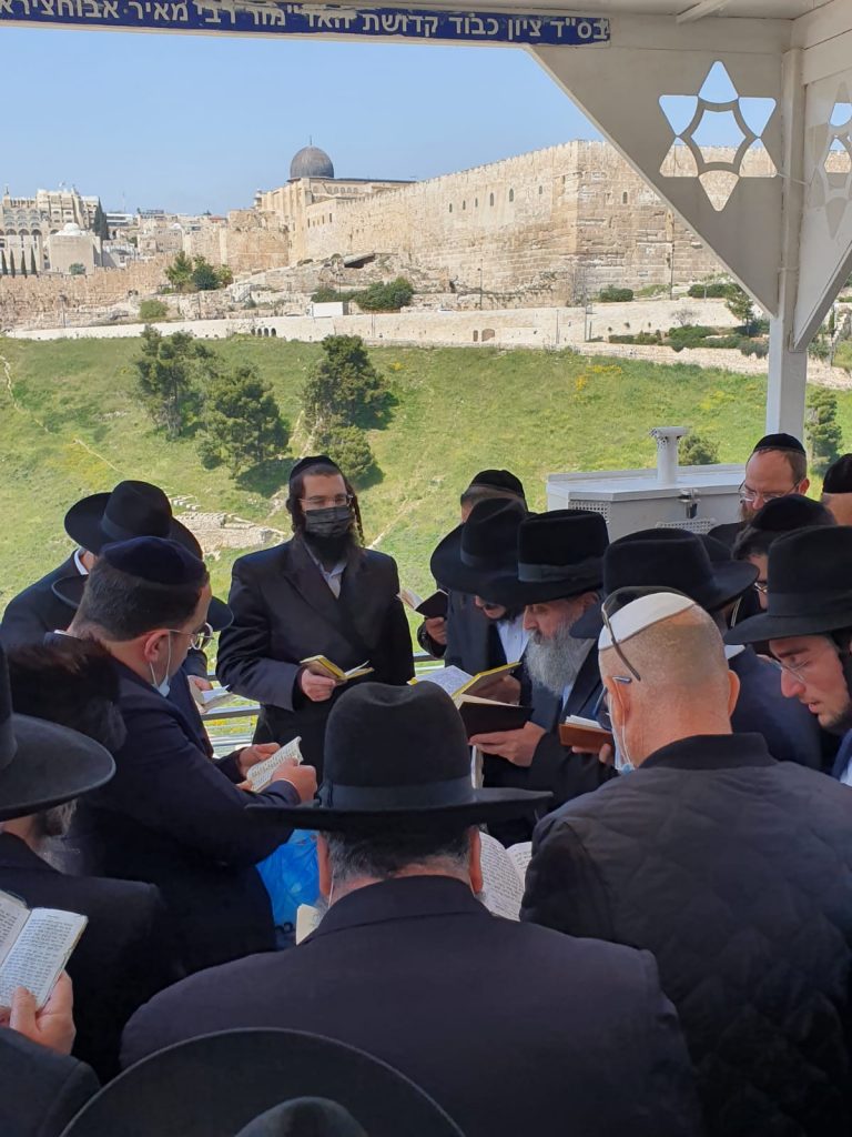 הילולת הבאבא מאיר: הבן האדמו"ר רבי יקותיאל עלה לקבר