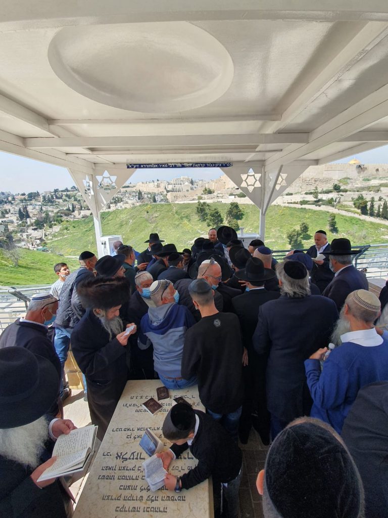 הילולת הבאבא מאיר: הבן האדמו"ר רבי יקותיאל עלה לקבר