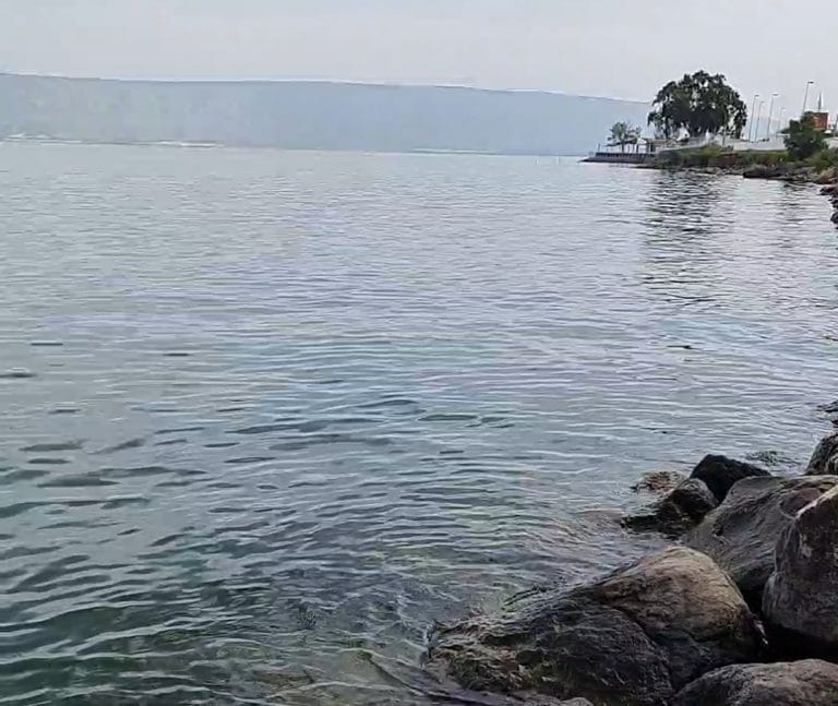 שלושה צעירים נופפו לעזרה – וחולצו