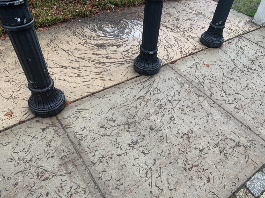 בית החולים עלה באש אך הרופאים המשיכו בניתוח • כותרות מהעולם