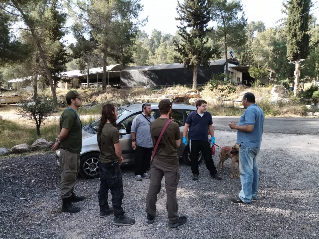 צפו: יחידת הכלבנים באימון מיוחד