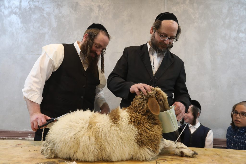 מאות תושבי בית שמש במעמד שחיטה של שה