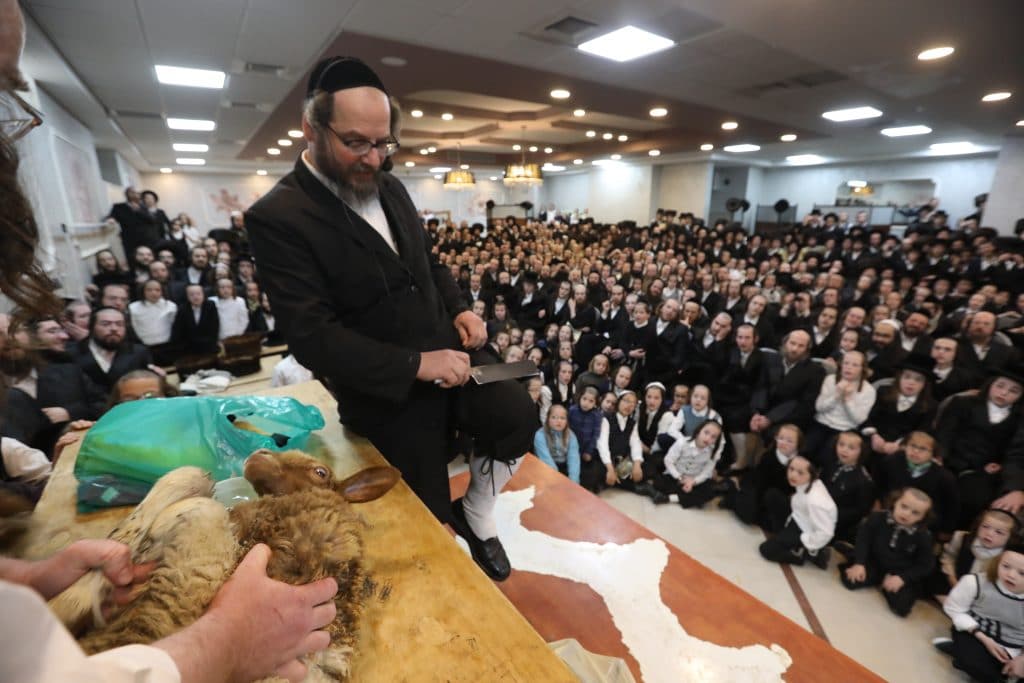 מאות תושבי בית שמש במעמד שחיטה של שה