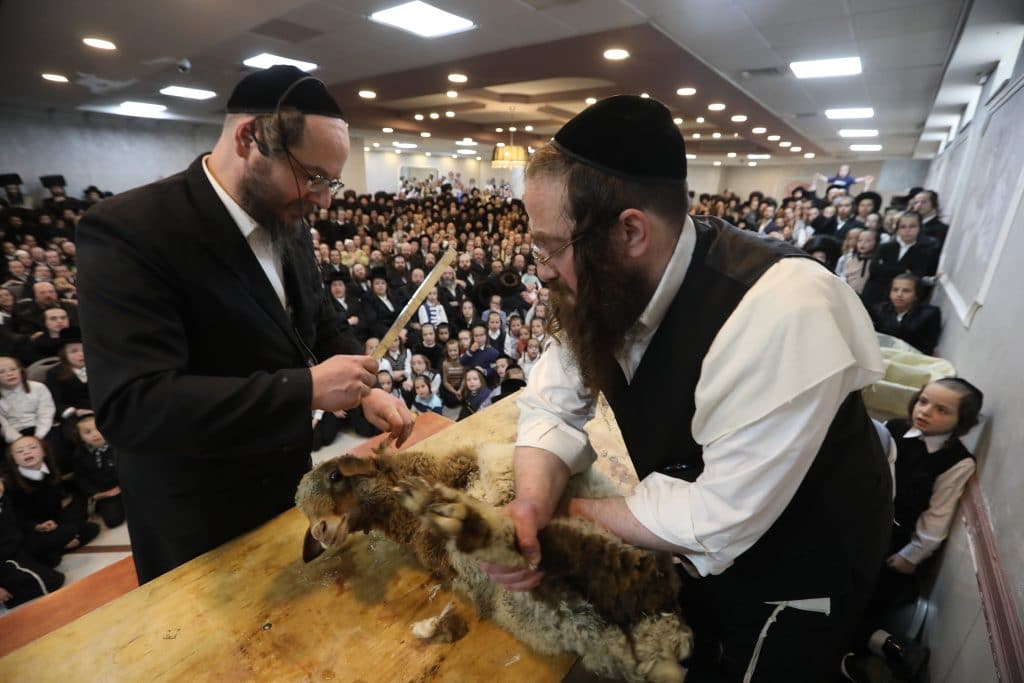 מאות תושבי בית שמש במעמד שחיטה של שה