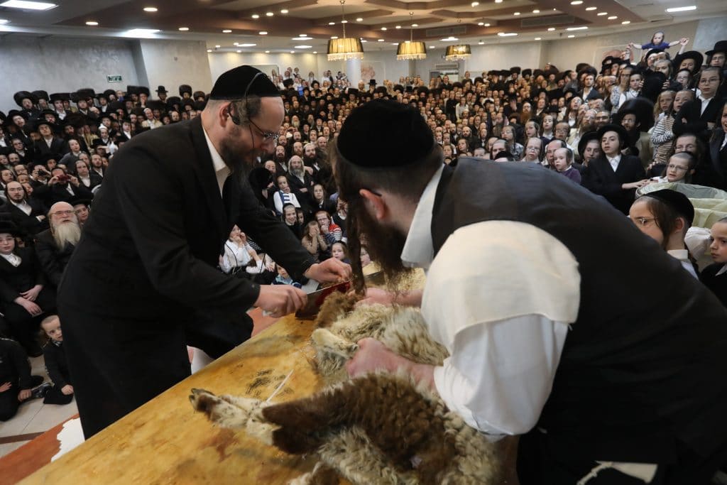 מאות תושבי בית שמש במעמד שחיטה של שה