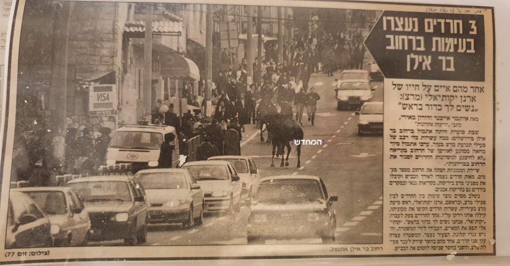 מאבקי בר אילן נמשכו עשרות שנים עד לניצחון מלא • תיעוד היסטורי