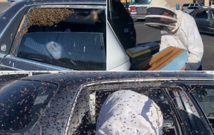 2000 איש נפלו במתיחה של 1 באפריל • כותרות מהעולם