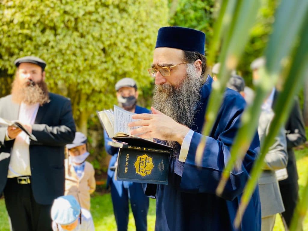 ראב"ד מרוקו בברכת האילונות