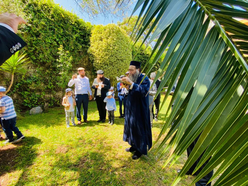 ראב"ד מרוקו בברכת האילונות