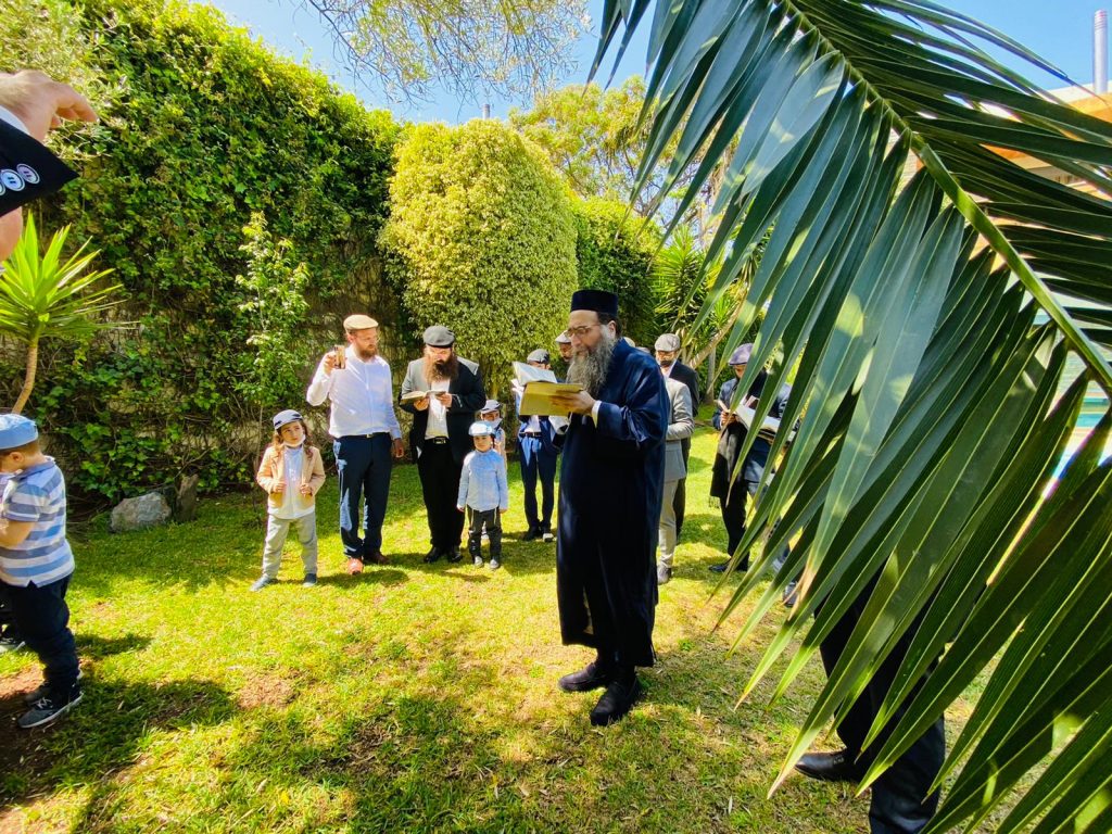 ראב"ד מרוקו בברכת האילונות